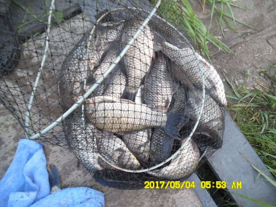 경주 동산낚시터 지난주 조황 (유료터정보 - 유료터점주조황)
