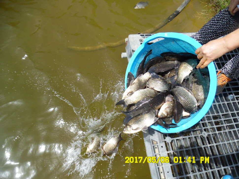 경주 동산낚시터 지난주 조황 (유료터정보 - 유료터점주조황)