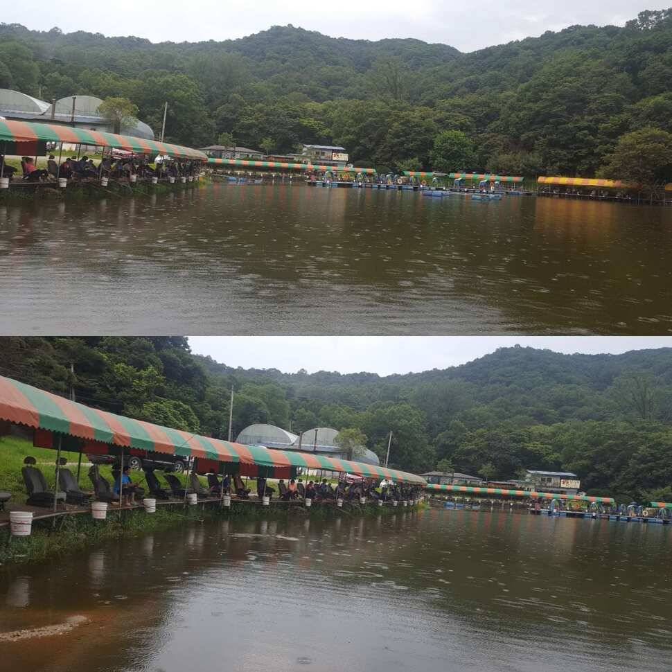 애걸복걸 (유료터정보 - 유료터점주조황)