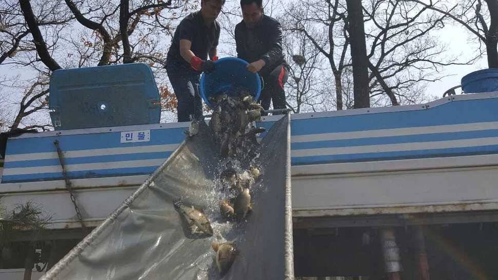 우금낚시공원 요번주 토요일 개장합니다 (유료터정보 - 유료터점주조황)