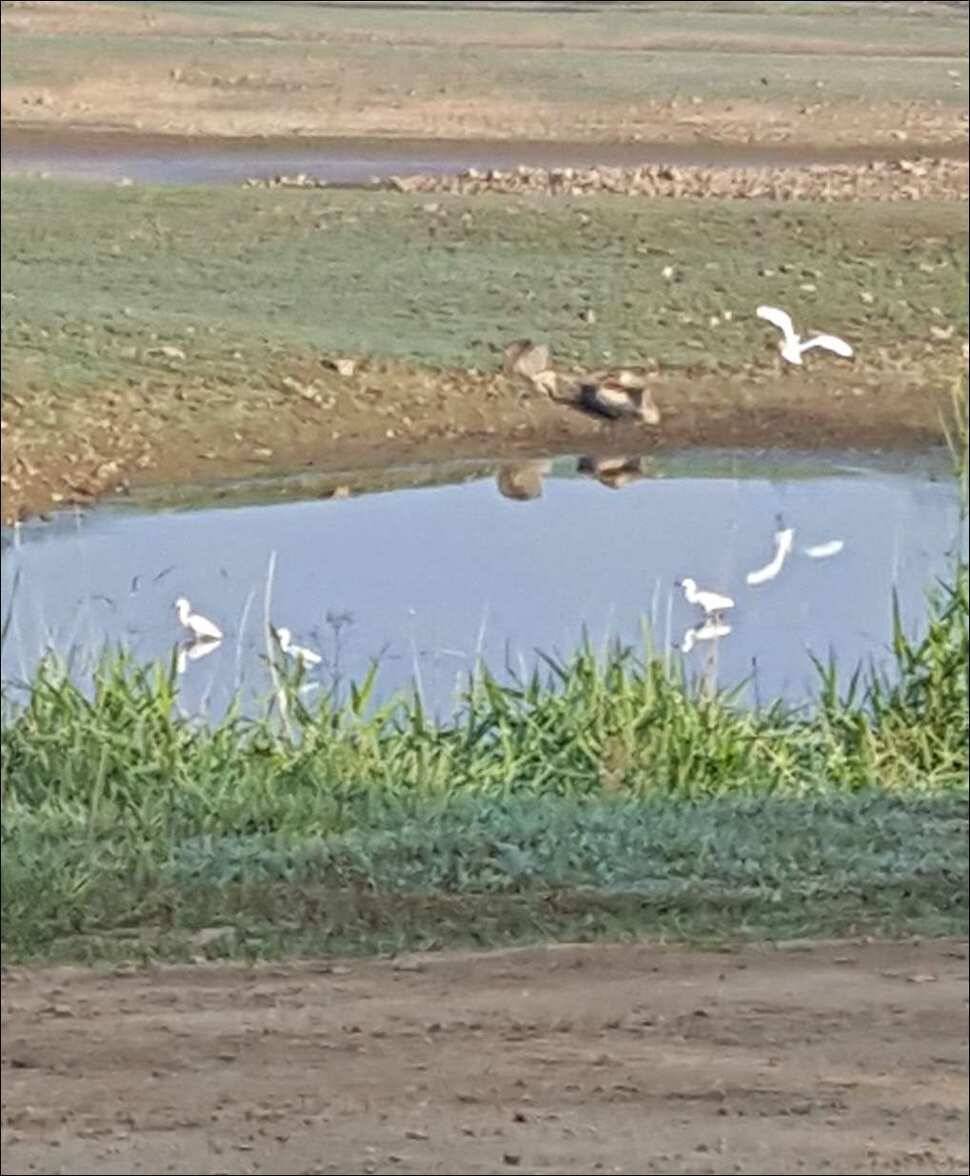 170604 송전지 서울집 조황 (유료터정보 - 유료터점주조황)