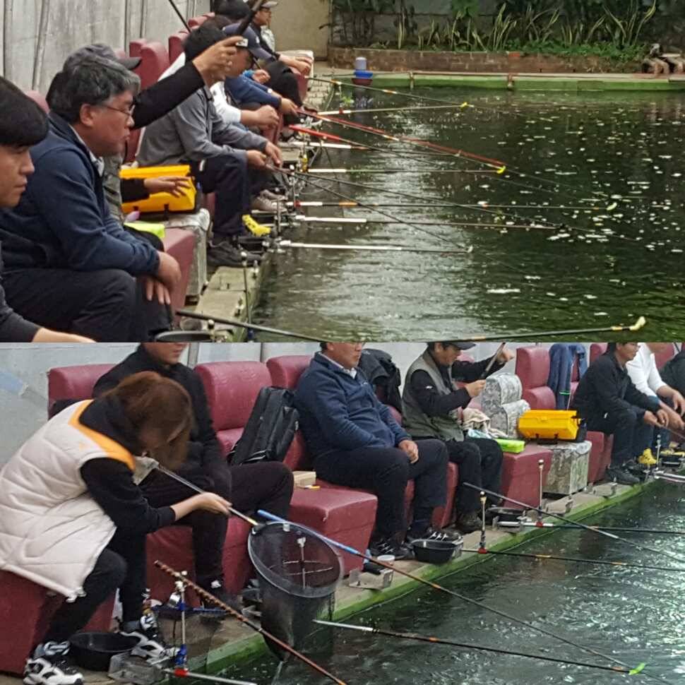 낚시맹 (유료터정보 - 유료터점주조황)