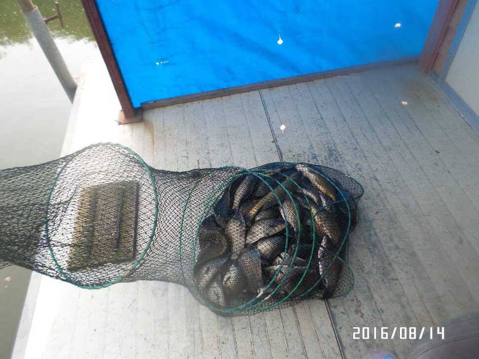 아산 신수지 주말낀 연휴 모습입니다 (유료터정보 - 유료터점주조황)