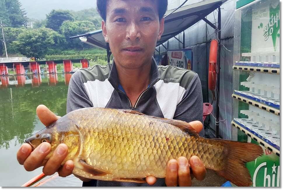 택암낚시터 주말조황소식 (유료터정보 - 유료터점주조황)