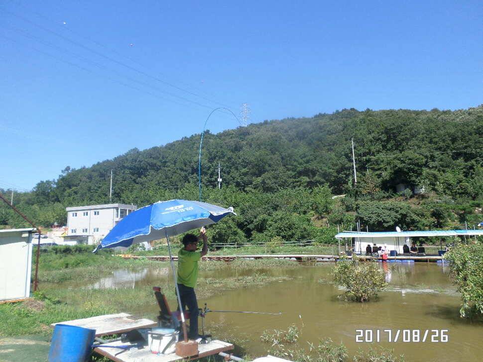 아산 신수지 8월 마지막주말 화보입니다 (유료터정보 - 유료터점주조황)