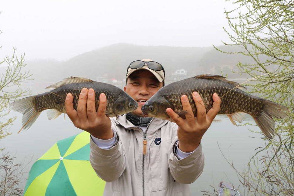 신원낚시터4월9일괴물메기와 조황소식 (유료터정보 - 유료터점주조황)