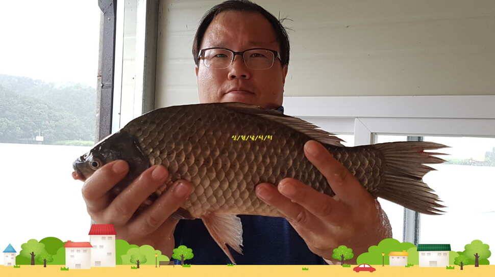 신원낚시터 8월셋쨋주 조황소식입니다 (유료터정보 - 유료터점주조황)