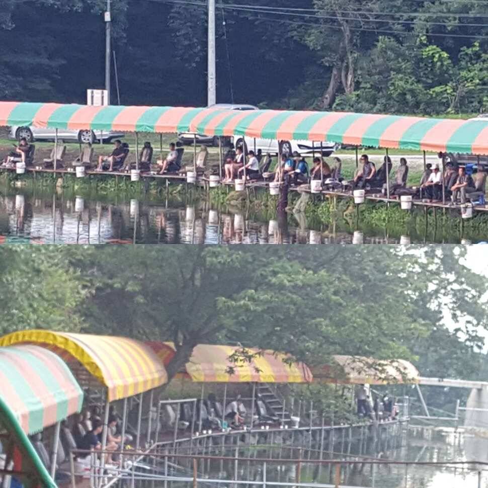 랑데부 (유료터정보 - 유료터점주조황)