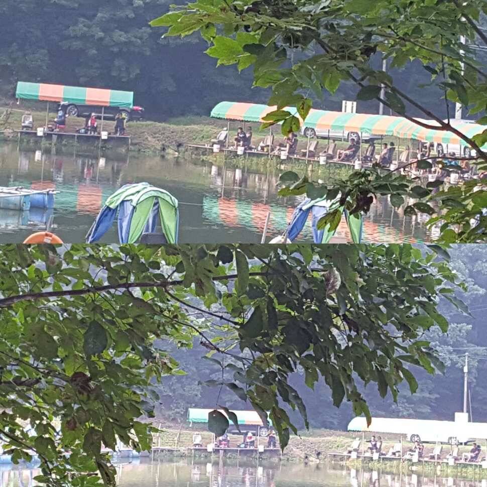 랑데부 (유료터정보 - 유료터점주조황)