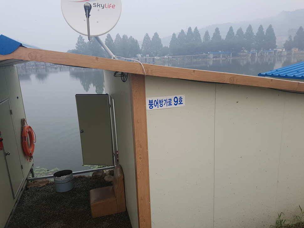 경기도 안성 거청낚시터 붕어조황 7월 22 (유료터정보 - 유료터점주조황)
