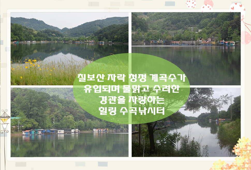 양평 수곡낚시터 주중 조황정보 (유료터정보 - 유료터점주조황)