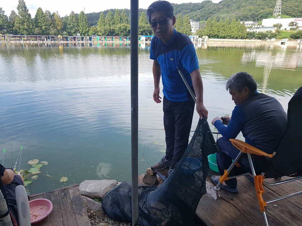경기도 안성 거청낚시터 붕어조황 8월 13 일 (유료터정보 - 유료터점주조황)