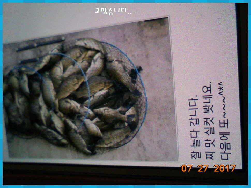 도심속의 작은 쉼터 화성 관리 낚시터입니다밤 영원하라 (유료터정보 - 유료터점주조황)