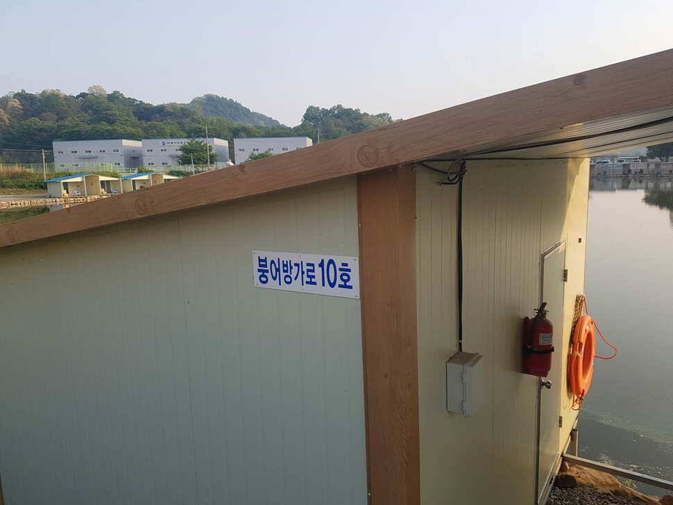 만수위의 거청낚시터 붕어조황 5월 18일 (유료터정보 - 유료터점주조황)
