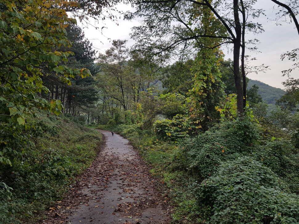 안성죽산장계지조항전경입니다 (유료터정보 - 유료터점주조황)
