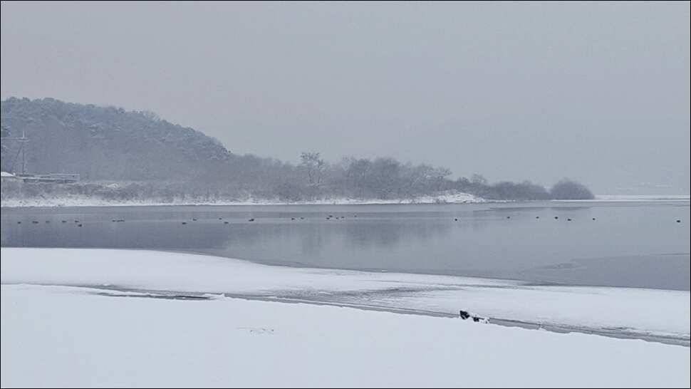 2017년 시즌을 마감라며 송전지 서울집 (유료터정보 - 유료터점주조황)