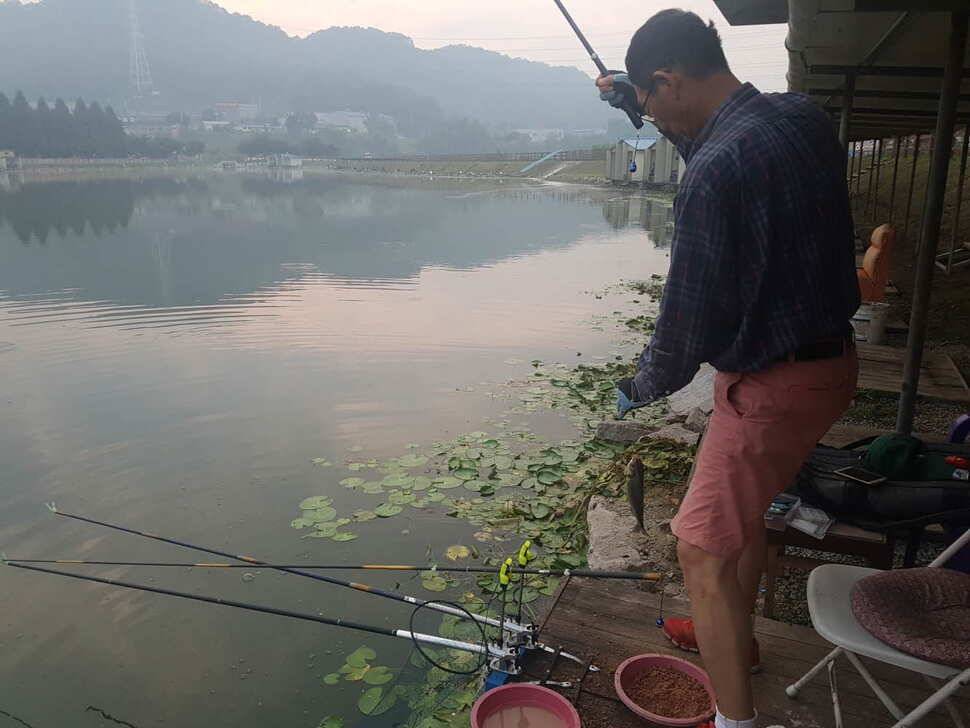 안성 거청낚시터 붕어조황 7월 21 일 (유료터정보 - 유료터점주조황)
