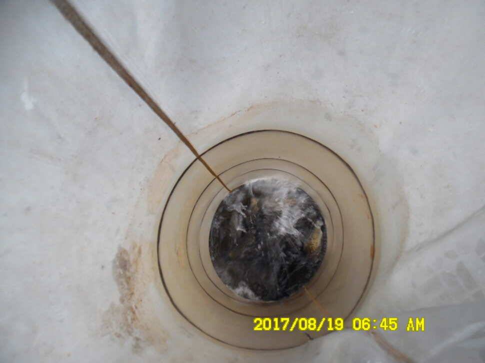 경주동산낚시터 지난주 조황 (유료터정보 - 유료터점주조황)