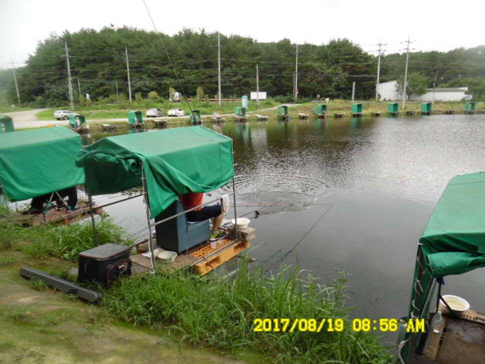 경주동산낚시터 지난주 조황 (유료터정보 - 유료터점주조황)