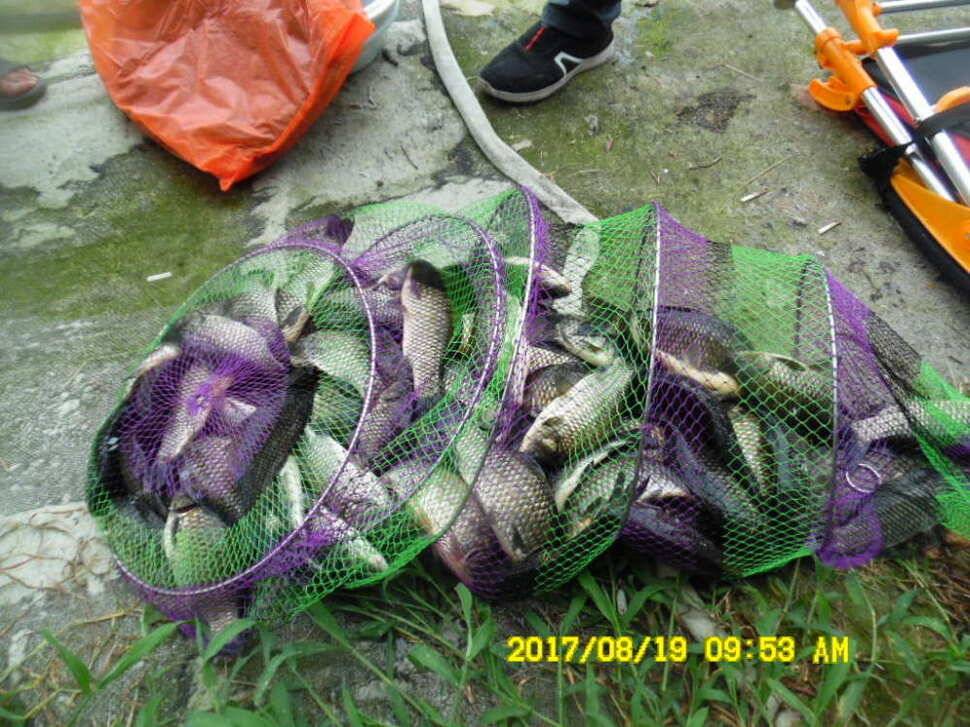 경주동산낚시터 지난주 조황 (유료터정보 - 유료터점주조황)