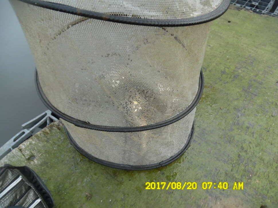 경주동산낚시터 지난주 조황 (유료터정보 - 유료터점주조황)