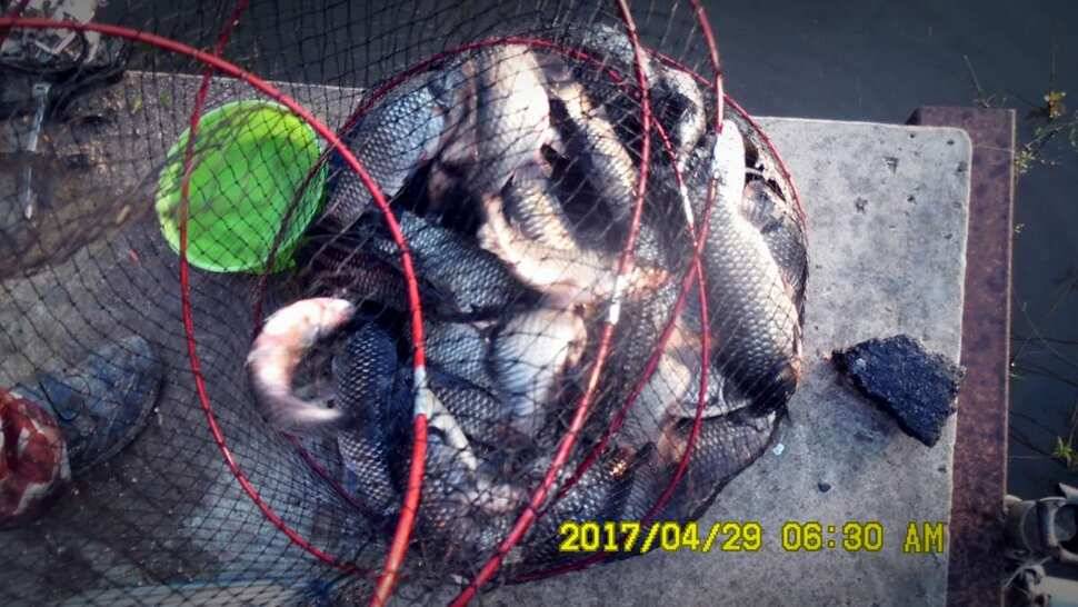 반제낚시터 조황좋습니다 (유료터정보 - 유료터점주조황)