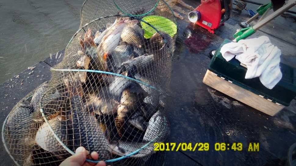 반제낚시터 조황좋습니다 (유료터정보 - 유료터점주조황)