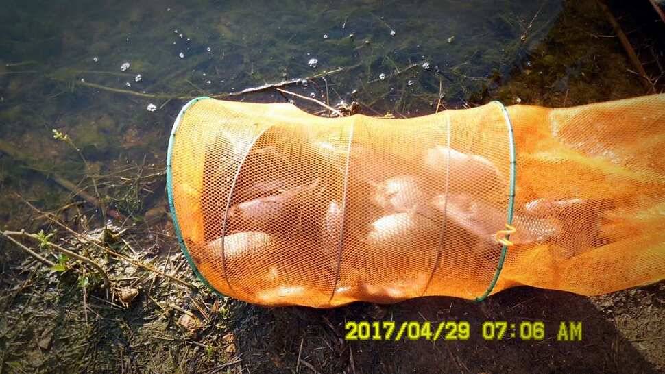 반제낚시터 조황좋습니다 (유료터정보 - 유료터점주조황)