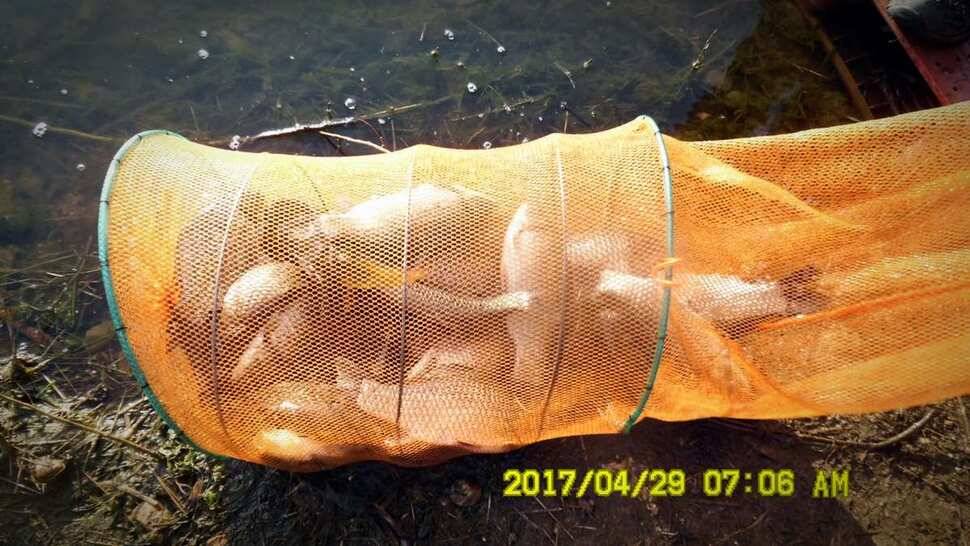 반제낚시터 조황좋습니다 (유료터정보 - 유료터점주조황)