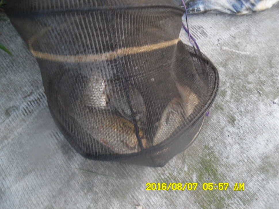 경주동산낚시터 (유료터정보 - 유료터점주조황)