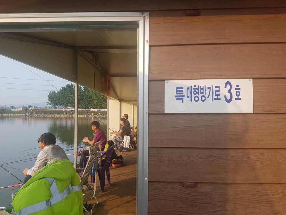 만수위의 거청낚시터 붕어조황 6월 17 (유료터정보 - 유료터점주조황)