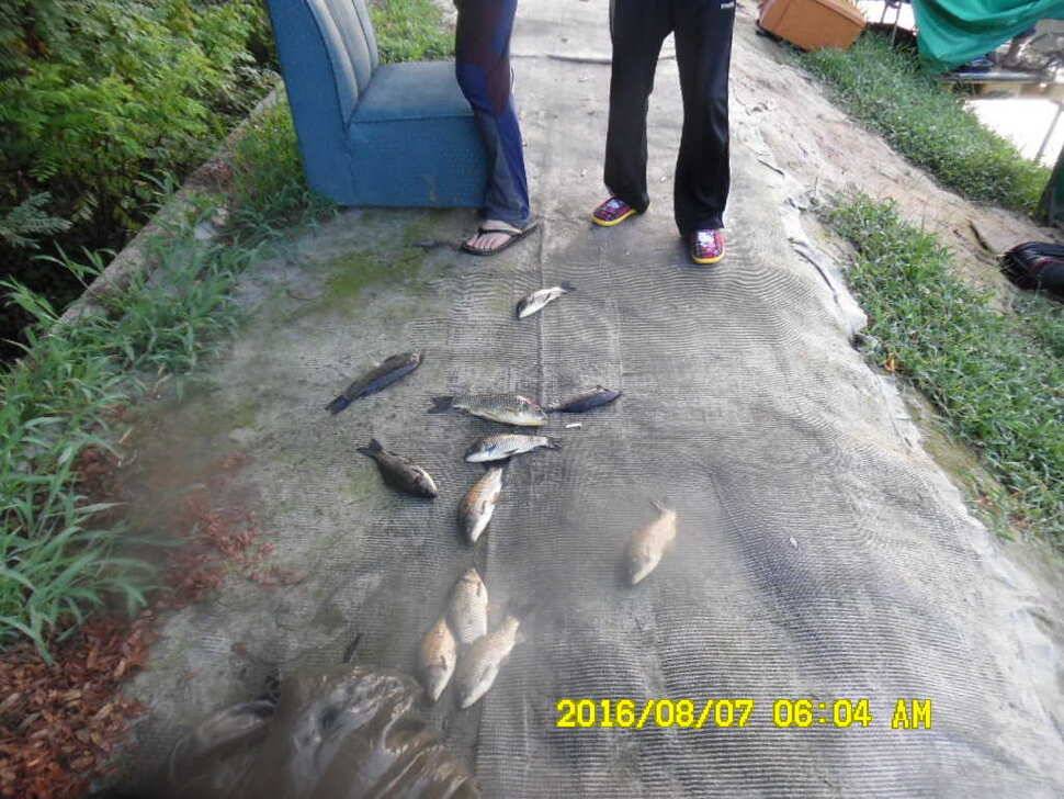경주동산낚시터 (유료터정보 - 유료터점주조황)