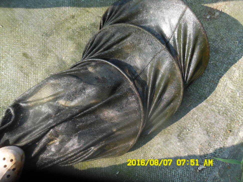 경주동산낚시터 (유료터정보 - 유료터점주조황)