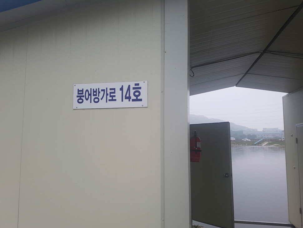 만수위의 거청낚시터 가족낚시터 붕어조황 6월 30 (유료터정보 - 유료터점주조황)