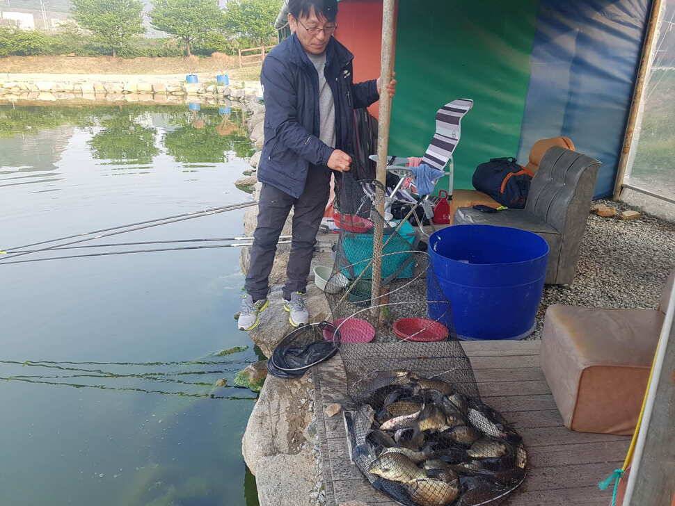 경기도 안성 거청낚시터 붕어조황 5월 04 (유료터정보 - 유료터점주조황)