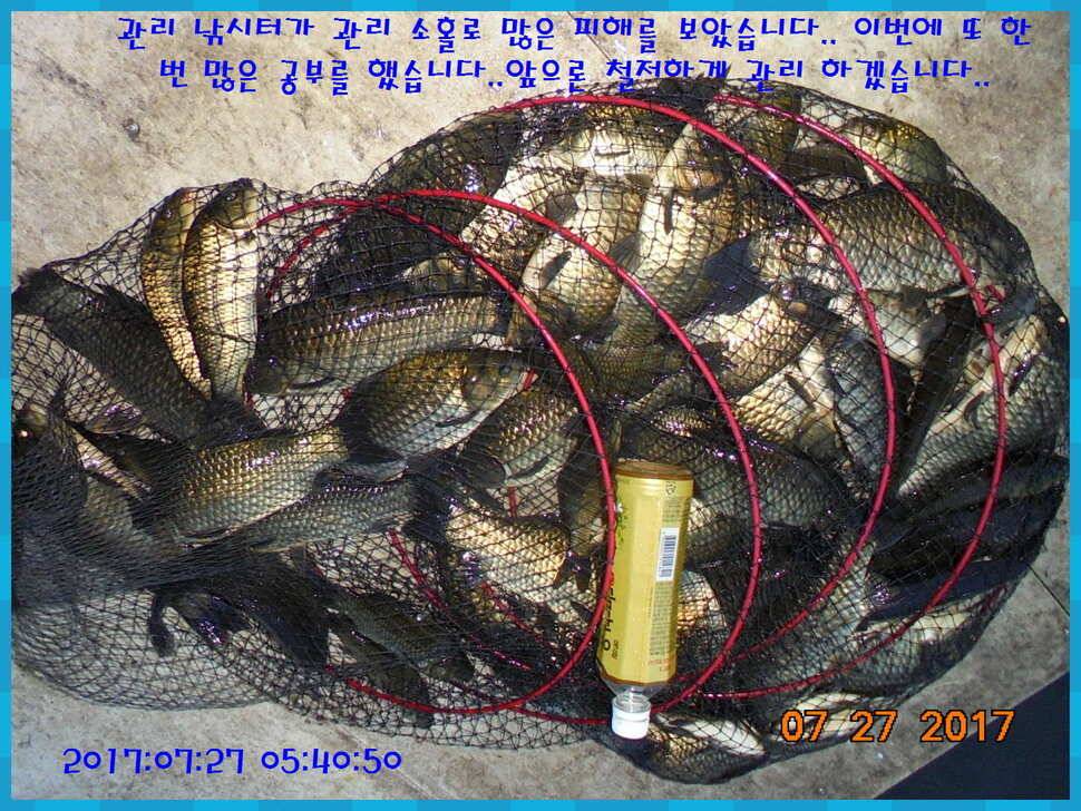 도심속의 작은 쉼터 화성 관리 낚시터입니다 (유료터정보 - 유료터점주조황)