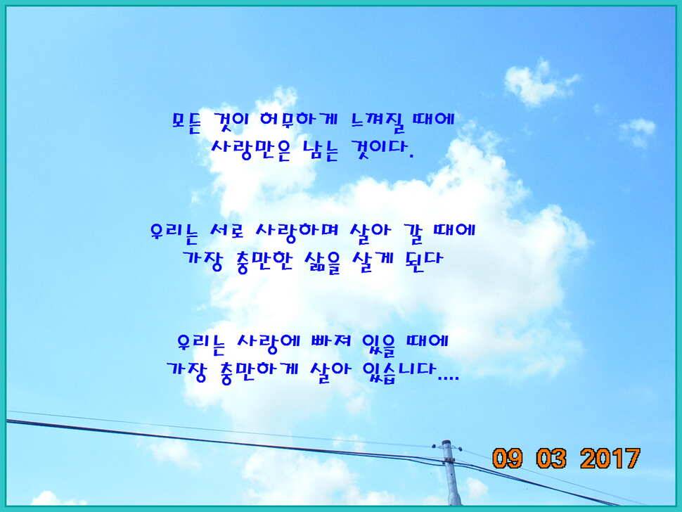 도심속의 작은 쉼터 화성 관리 낚시터입니다Dae Bak 예감 (유료터정보 - 유료터점주조황)