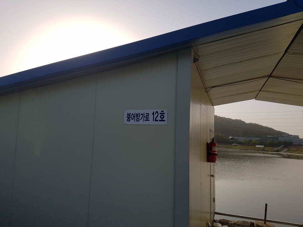 수위변동 없는 낚시터 5월 06일 붕어조황 (유료터정보 - 유료터점주조황)