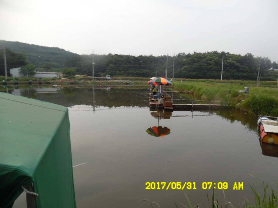 경주 동산낚시터 지난주 조황 (유료터정보 - 유료터점주조황)