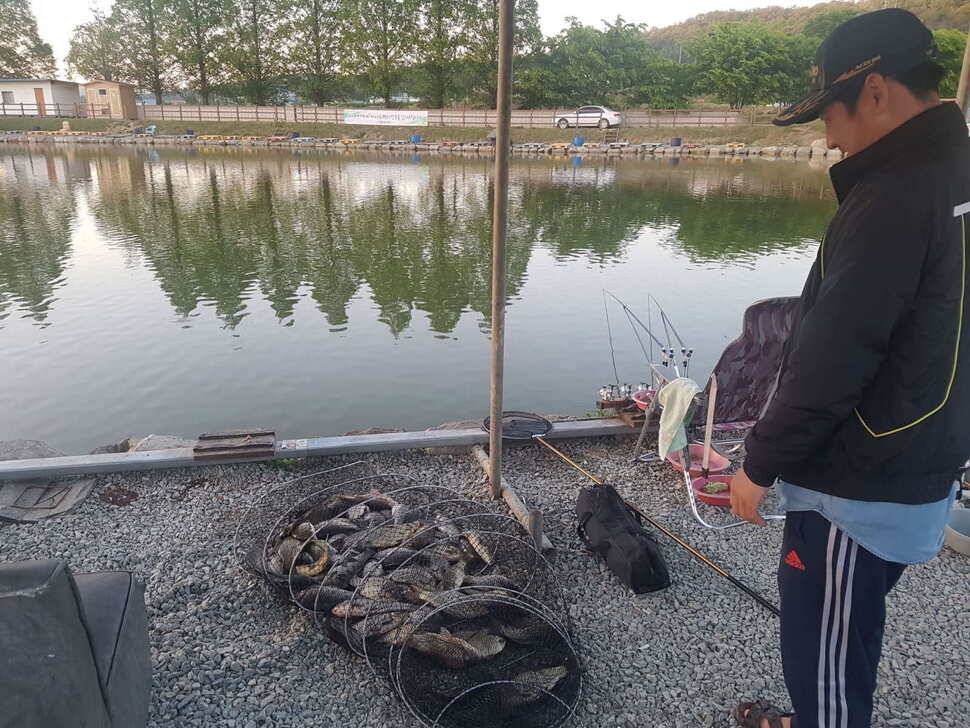 수위변동 없는 낚시터 5월 08일 붕어조황 (유료터정보 - 유료터점주조황)