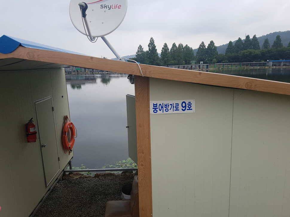 안성 거청낚시터 붕어조황 7월 12 일 (유료터정보 - 유료터점주조황)