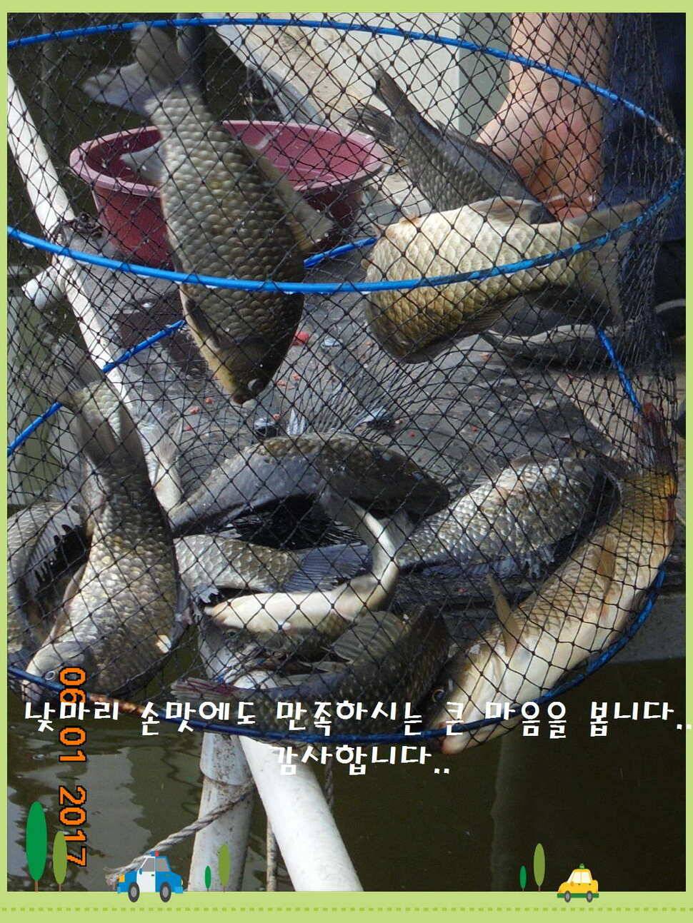 도심속의 작은 쉼터 화성 관리 낚시터입니다어제 좋았습니다 (유료터정보 - 유료터점주조황)