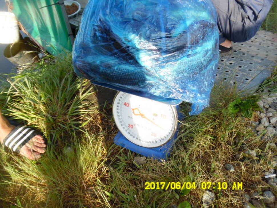 경주 동산낚시터 지난주 조황 (유료터정보 - 유료터점주조황)