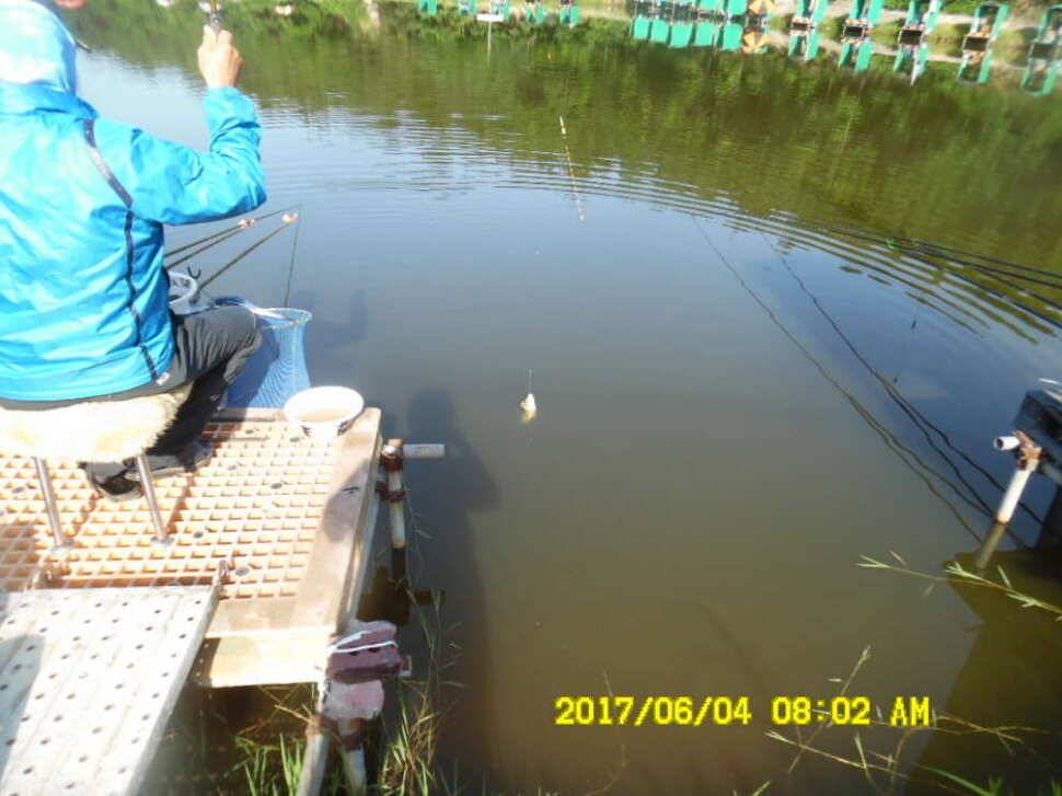 경주 동산낚시터 지난주 조황 (유료터정보 - 유료터점주조황)