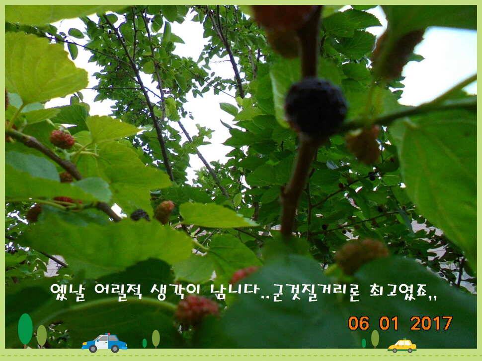 도심속의 작은 쉼터 화성 관리 낚시터입니다어제 좋았습니다 (유료터정보 - 유료터점주조황)
