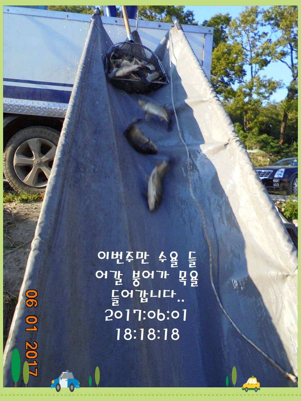 도심속의 작은 쉼터 화성 관리 낚시터입니다어제 좋았습니다 (유료터정보 - 유료터점주조황)