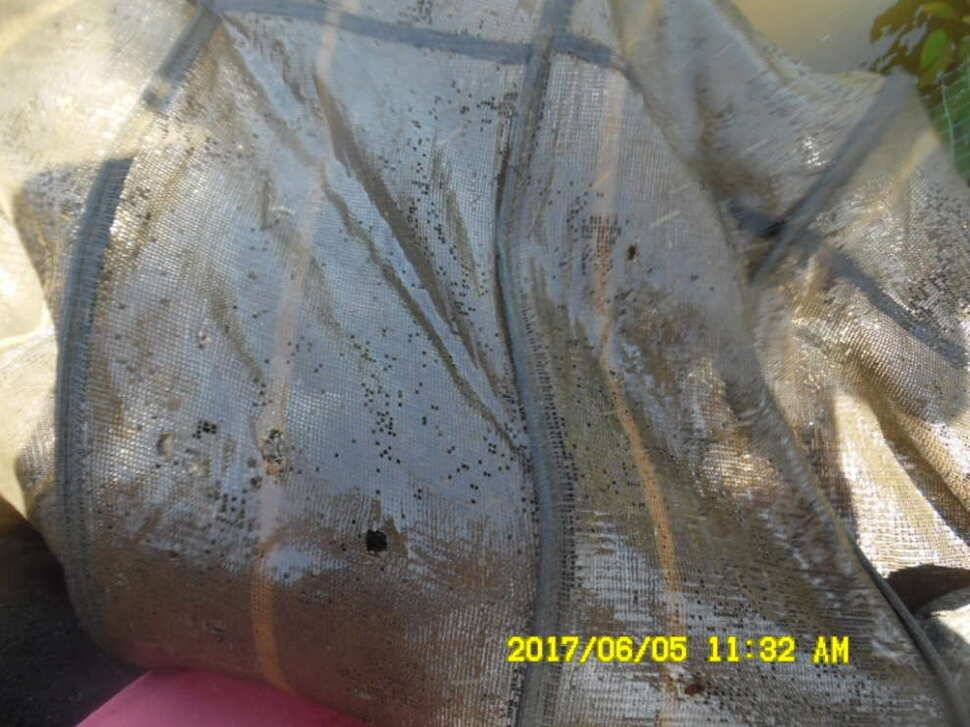 경주 동산낚시터 지난주 조황 (유료터정보 - 유료터점주조황)