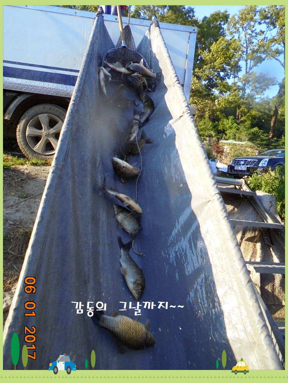 도심속의 작은 쉼터 화성 관리 낚시터입니다어제 좋았습니다 (유료터정보 - 유료터점주조황)