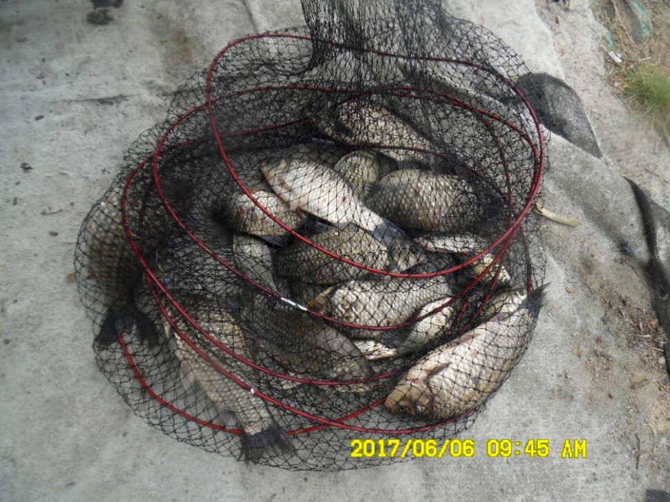 경주 동산낚시터 지난주 조황 (유료터정보 - 유료터점주조황)