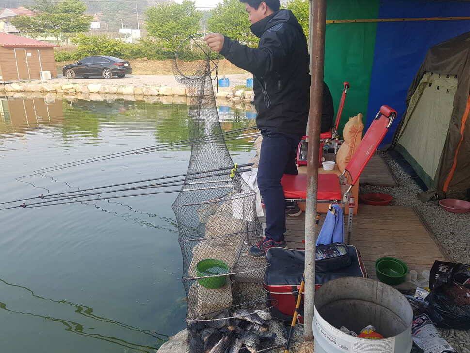 경기도 안성 거청낚시터 붕어조황 4월 30일 (유료터정보 - 유료터점주조황)